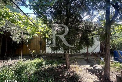 Casă cu 2 camere cu Teren 4029 Mp în Sânmartin - 5