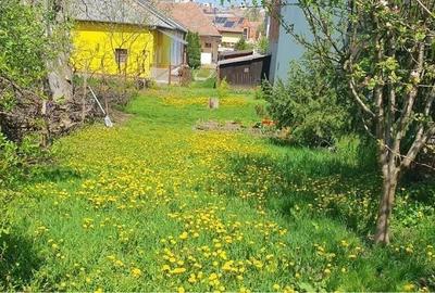 Casă cu 2 camere în Mureșeni - 1