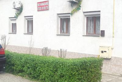 Casă cu Teren 229 Mp în Pârneava