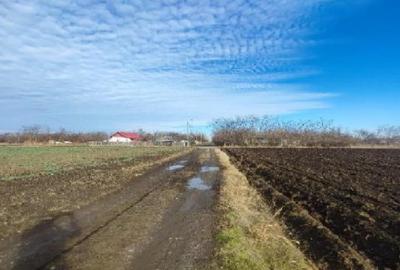 Teren în Dragoș Vodă