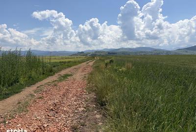 Teren de 4300 mp, în Tărlungeni