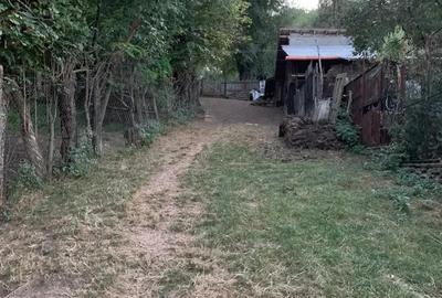 Teren de 7.5 mp, în Homorâciu - 5