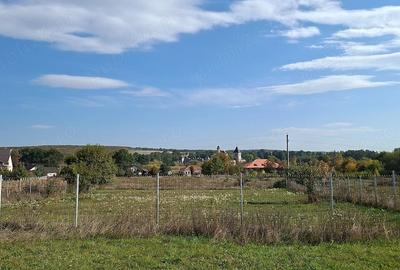 Teren de 1500 mp, în Dragomirna