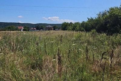 Teren agricol intravilan de 3003 mp, în Bascov - 3