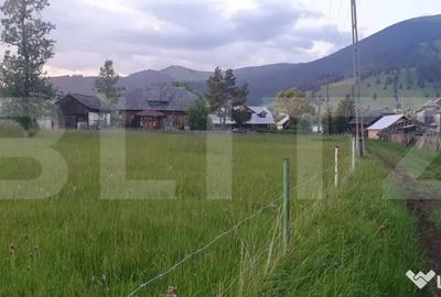 Casă cu 3 camere cu Teren 5747 Mp în Central - 3