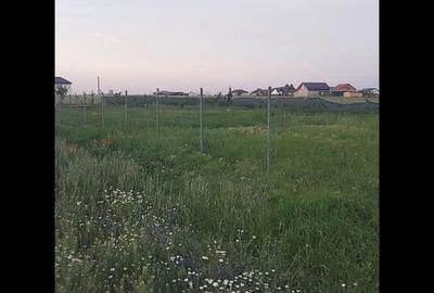 Teren de 1000 mp, în Domnești