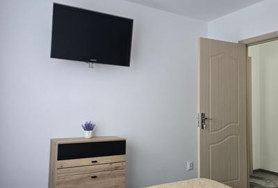 Apartament cu 2 camere decomandat în Gorjului - 11