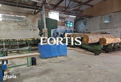 Spațiu comercial, de 5,410 mp, în Voila - 2