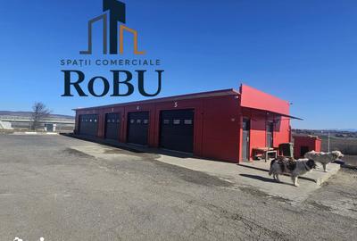 Spațiu comercial, de 4,900 mp, în Feldioara - 2