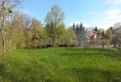 Teren de 1950 mp, în Central - 4