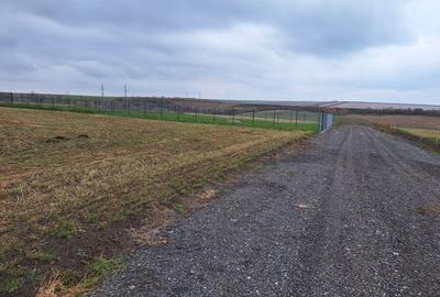 Casă în Central - 9