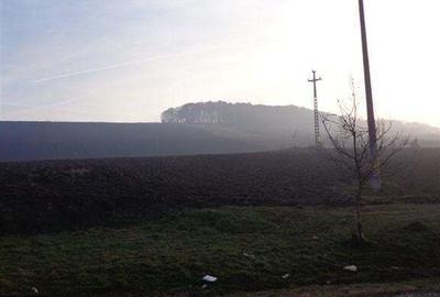 Teren de 29300 mp, în Livezeni - 5