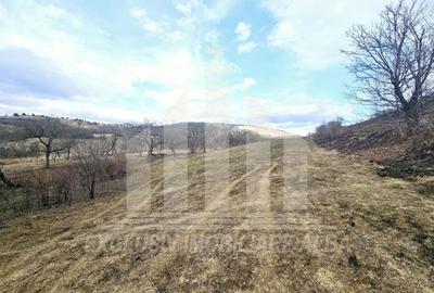 Teren Construcții intravilan de 12211 mp, în Geoagiu de Sus - 1