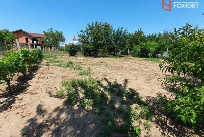 Duplex cu 6 camere cu Canalizare în Peciu Nou - 29