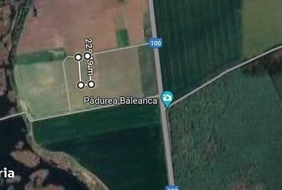 Teren de 753 mp, în Brănești