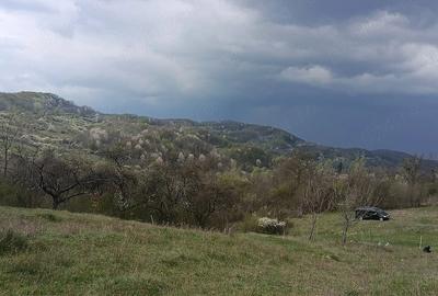 Teren de 4944 mp, în Tigveni