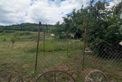 Casă cu 4 camere cu Teren 1680 Mp în Chișcădaga
