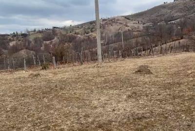 Spațiu comercial, în Ruginești - 5