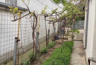 Casă cu 4 camere cu Teren 320 Mp în Brăilița - 12
