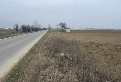 Teren de 4916 mp, în Brezoaia