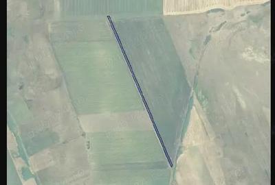 Teren de 10000 mp, în Fântânele