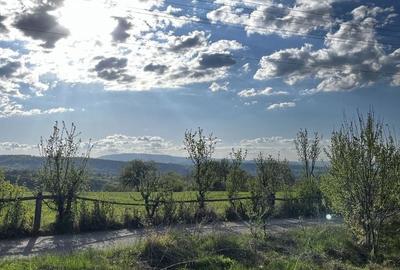 Teren de 1800 mp, în Râșca