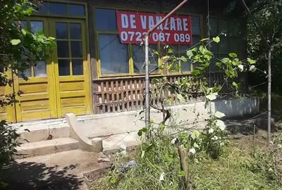 Casă cu 3 camere cu Teren 2640 Mp în Meri
