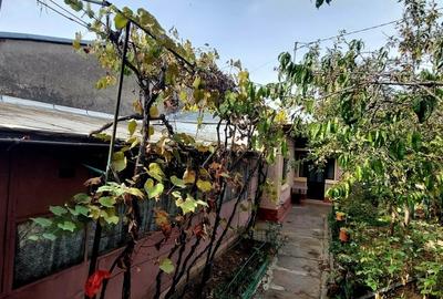 Casă individuală cu 3 camere cu Teren 250 Mp în Bucureștii Noi - 5