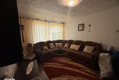 Apartament cu 2 camere semidecomandat în Brazda lui Novac