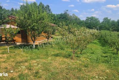 Spațiu comercial, de 107 mp, în Valea Danului