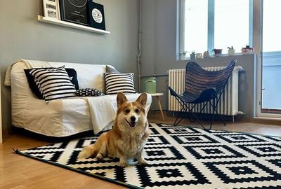 Apartament cu 2 camere decomandat în Iancului