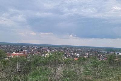 Teren de 3600 mp, în Ghioroc - 2