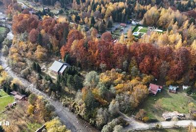 Casă cu 4 camere cu Teren 7000 Mp în Central - 4