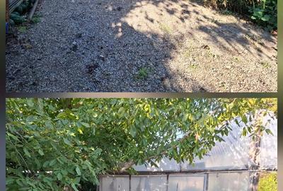 Teren de 1650 mp, în Vărsătura