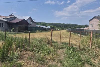 Teren de 1600 mp, în Puchenii Mari