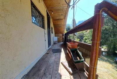 Casă individuală cu 7 camere cu Teren 1660 Mp în Pietroasa - 3
