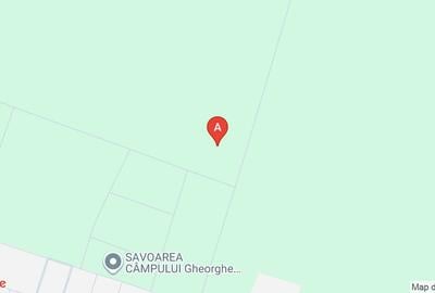 Casă cu 4 camere cu Teren 20000 Mp în Gheorghe Doja