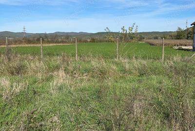 Teren de 4300 mp, în Lalașinț - 1