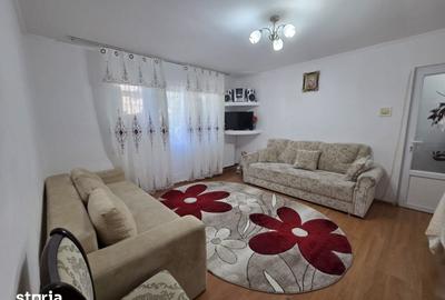 Apartament cu 2 camere în Banat - 7