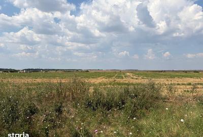 Teren de 12000 mp, în Cârcea