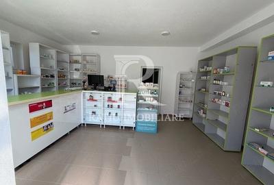 Spațiu comercial, de 60 mp, în Pocioveliște