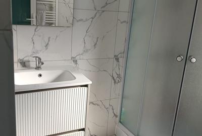 Casă individuală cu 3 camere cu Teren 500 Mp în Becicherecu Mic - 10