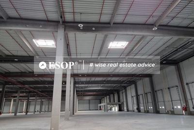 Spațiu industrial, de 5,000 mp, în Sud-Vest - 2