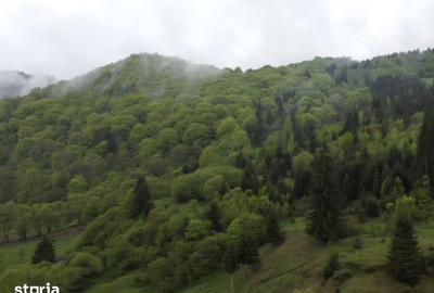 Teren de 7.22 mp, în Rucăr
