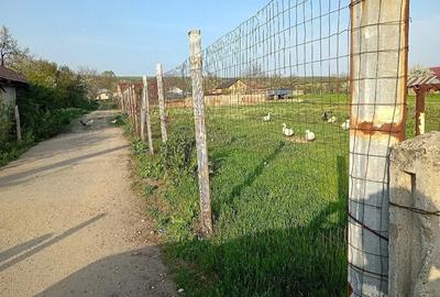 Teren de 1268 mp, în Brădești - 1
