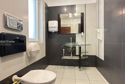 Apartament cu 6 camere, mobilat în Herăstrău - 23