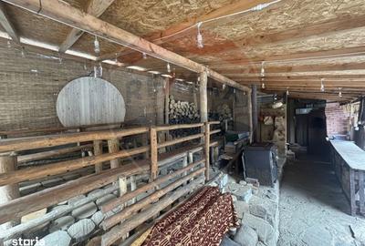 Casă cu 7 camere cu Teren 3485 Mp în Provița de Jos - 3