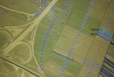 Teren de 4900 mp, în Bâcu - 1
