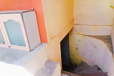 Casă cu 3 camere cu Teren 4302 Mp în Pleșoiu - 11