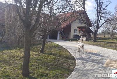 Casă cu 7 camere cu Teren 3200 Mp în Viile Satu Mare - 3